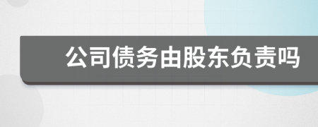 公司债务由股东负责吗
