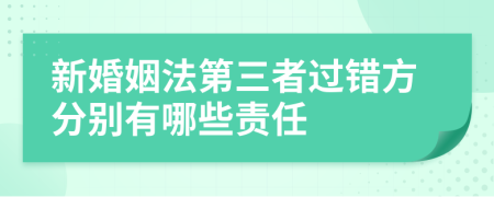 新婚姻法第三者过错方分别有哪些责任