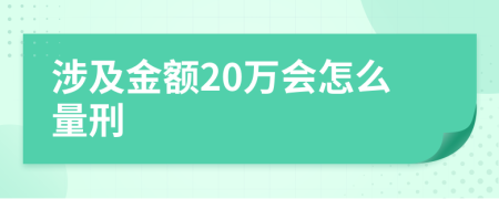 涉及金额20万会怎么量刑