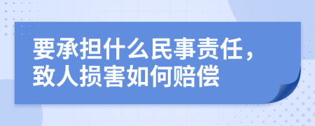 要承担什么民事责任，致人损害如何赔偿