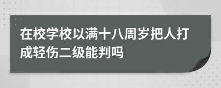 在校学校以满十八周岁把人打成轻伤二级能判吗