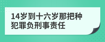 14岁到十六岁那把种犯罪负刑事责任