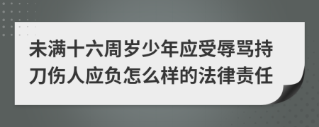 未满十六周岁少年应受辱骂持刀伤人应负怎么样的法律责任