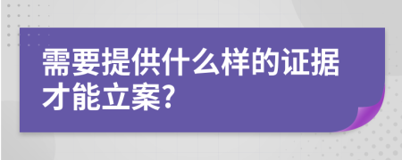 需要提供什么样的证据才能立案?