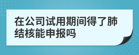 在公司试用期间得了肺结核能申报吗