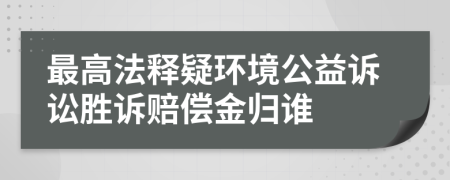 最高法释疑环境公益诉讼胜诉赔偿金归谁