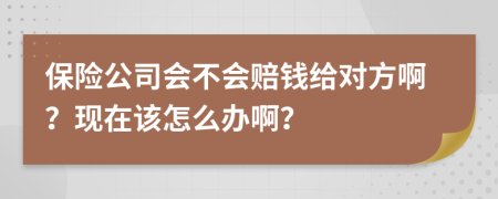 保险公司会不会赔钱给对方啊？现在该怎么办啊？