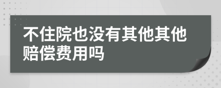 不住院也没有其他其他赔偿费用吗