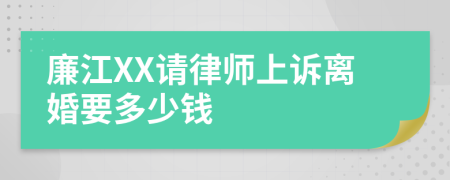 廉江XX请律师上诉离婚要多少钱