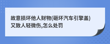 故意损坏他人财物(砸坏汽车引擎盖)又致人轻微伤,怎么处罚