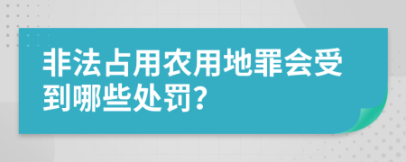 非法占用农用地罪会受到哪些处罚？