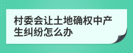 村委会让土地确权中产生纠纷怎么办