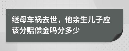 继母车祸去世，他亲生儿子应该分赔偿金吗分多少