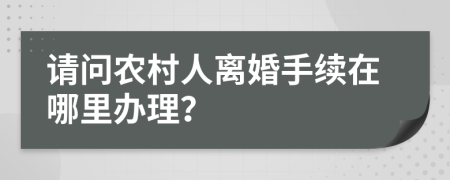 请问农村人离婚手续在哪里办理？