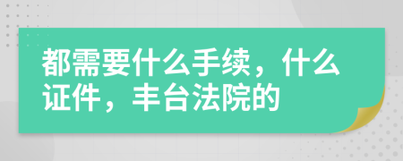 都需要什么手续，什么证件，丰台法院的