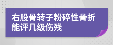 右股骨转子粉碎性骨折能评几级伤残