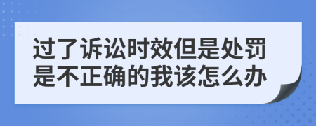 过了诉讼时效但是处罚是不正确的我该怎么办