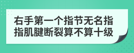 右手第一个指节无名指指肌腱断裂算不算十级