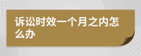 诉讼时效一个月之内怎么办