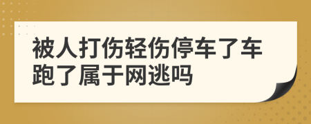 被人打伤轻伤停车了车跑了属于网逃吗