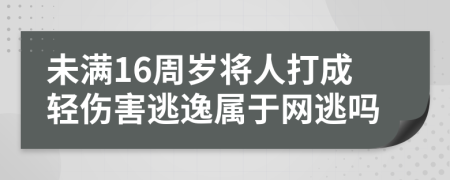 未满16周岁将人打成轻伤害逃逸属于网逃吗