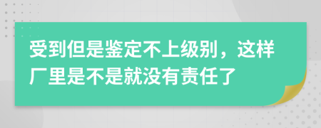 受到但是鉴定不上级别，这样厂里是不是就没有责任了