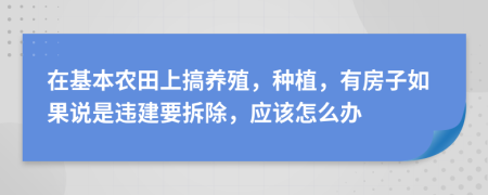 在基本农田上搞养殖，种植，有房子如果说是违建要拆除，应该怎么办