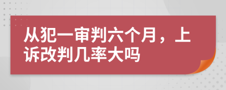 从犯一审判六个月，上诉改判几率大吗