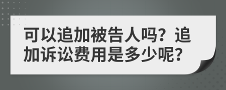 可以追加被告人吗？追加诉讼费用是多少呢？