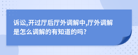 诉讼,开过厅后厅外调解中,厅外调解是怎么调解的有知道的吗?