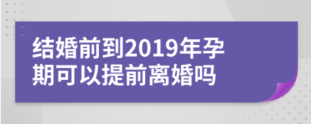 结婚前到2019年孕期可以提前离婚吗