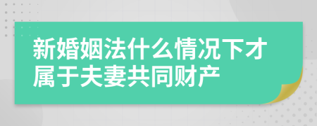 新婚姻法什么情况下才属于夫妻共同财产