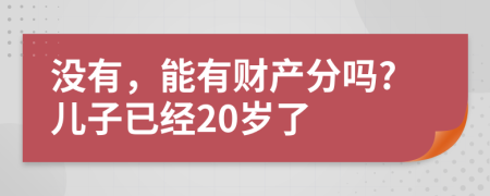 没有，能有财产分吗?儿子已经20岁了