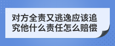 对方全责又逃逸应该追究他什么责任怎么赔偿