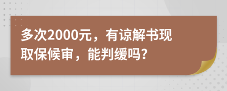 多次2000元，有谅解书现取保候审，能判缓吗？