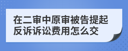 在二审中原审被告提起反诉诉讼费用怎么交