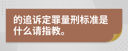 的追诉定罪量刑标准是什么请指教。