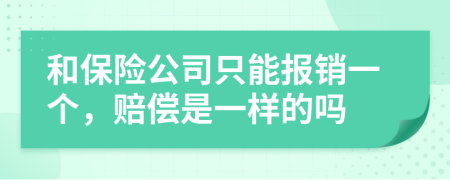 和保险公司只能报销一个，赔偿是一样的吗