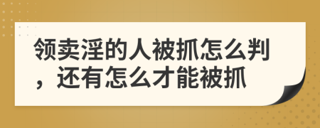 领卖淫的人被抓怎么判，还有怎么才能被抓