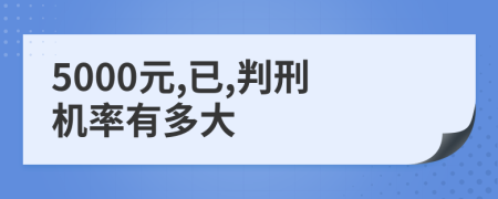 5000元,已,判刑机率有多大