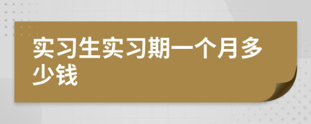 实习生实习期一个月多少钱