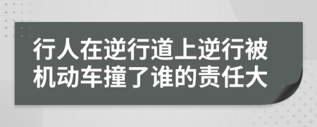 行人在逆行道上逆行被机动车撞了谁的责任大