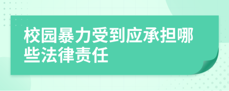 校园暴力受到应承担哪些法律责任