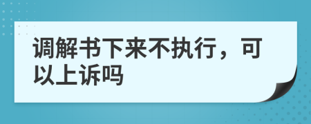 调解书下来不执行，可以上诉吗