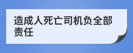 造成人死亡司机负全部责任