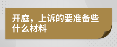 开庭，上诉的要准备些什么材料