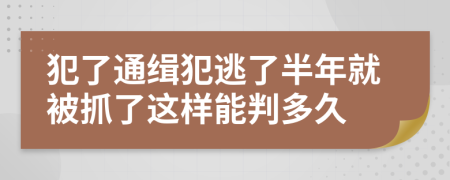 犯了通缉犯逃了半年就被抓了这样能判多久