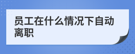 员工在什么情况下自动离职