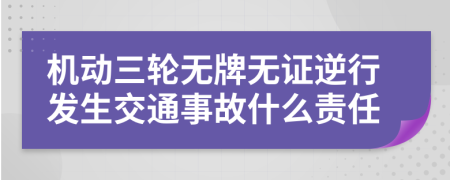 机动三轮无牌无证逆行发生交通事故什么责任