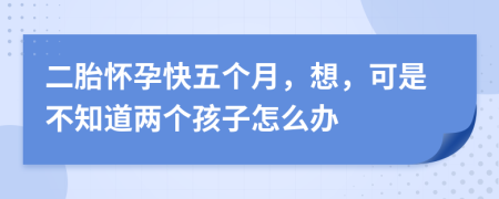 二胎怀孕快五个月，想，可是不知道两个孩子怎么办